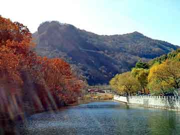 澳门天天开奖免费资料，庞家农场